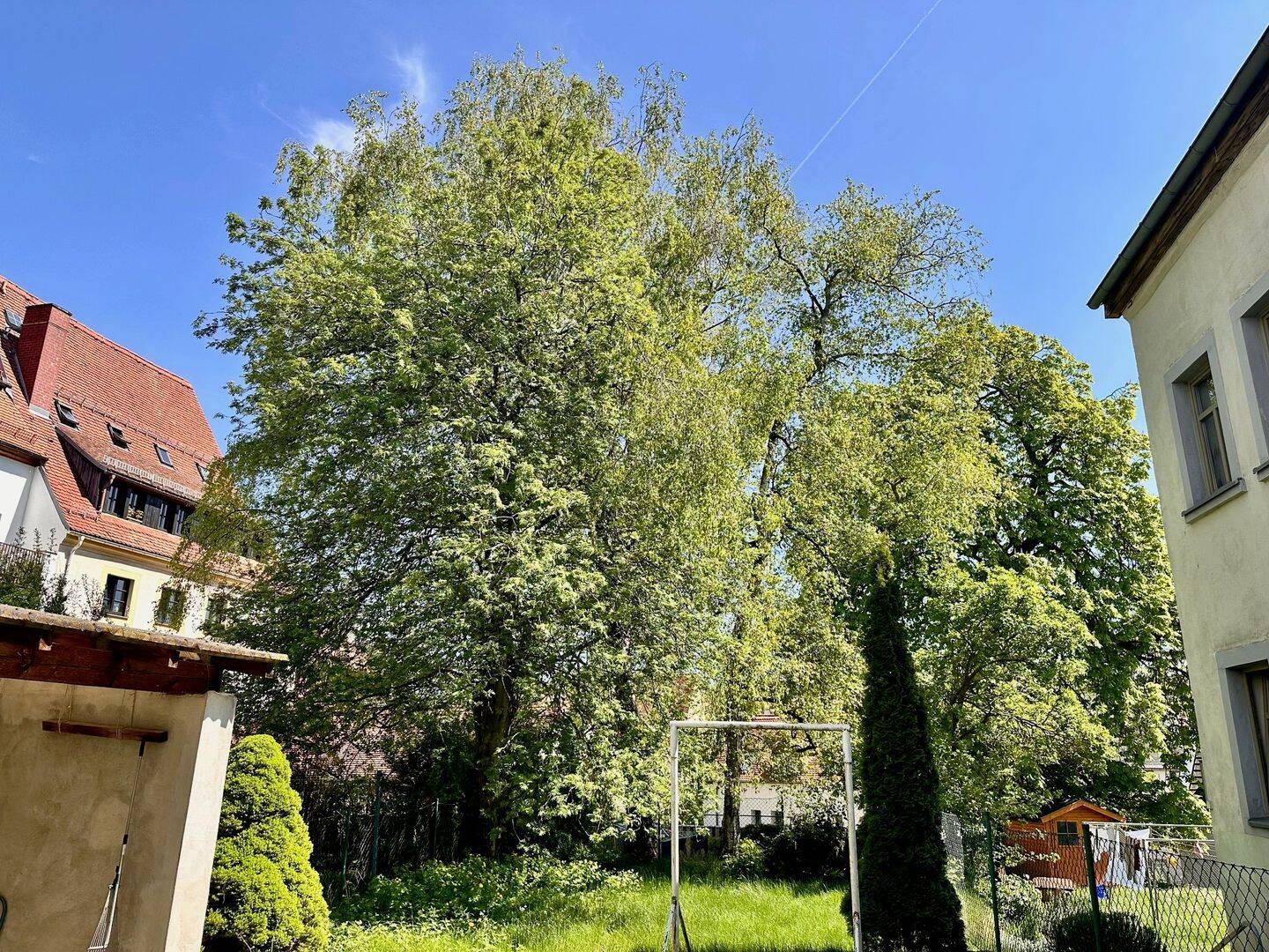 Mehrfamilienhaus zum Kauf - Widok 4