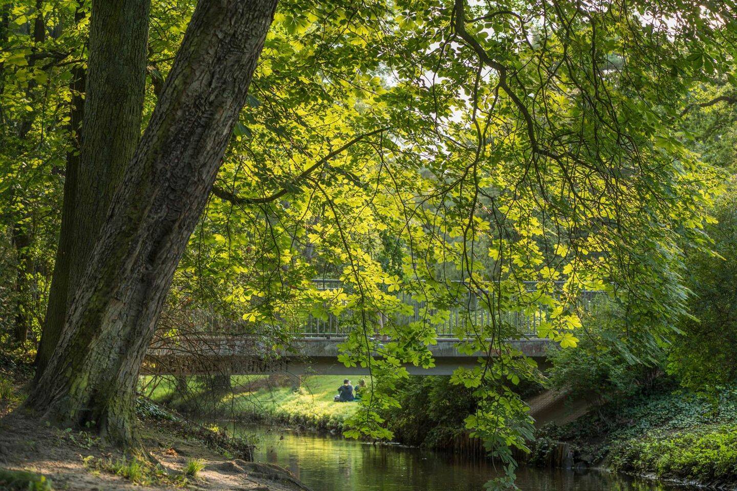 Helle 3-Zi-Dachgeschosswohnung am Bürgerpark – Berlin – Vorschaubild 25