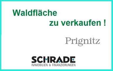 Land-/Forstwirtschaft zum Kauf 63.000 € 87.284 m² Grundstück Wittenberge Wittenberge 19322