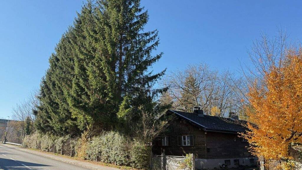 Grundstück zum Kauf 1.557 m² Grundstück Kirchbichl 6322