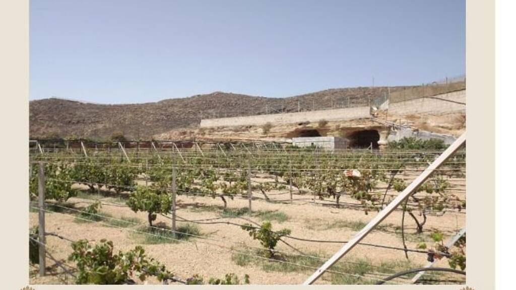 Grundstück zum Kauf 130.000 € 5.500 m² Grundstück Arico - Arico 38588