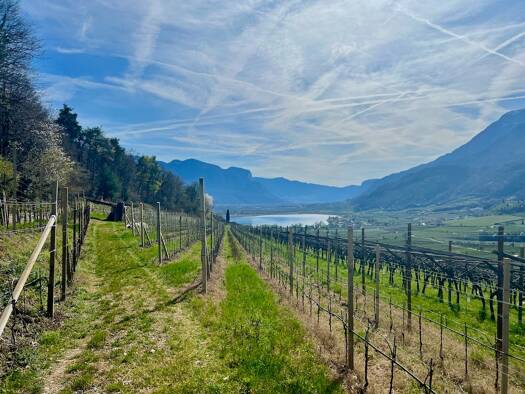 Land-/Forstwirtschaft zum Kauf 358.000 € 3.970 m² Grundstück Kaltern an der Weinstraße. 39052