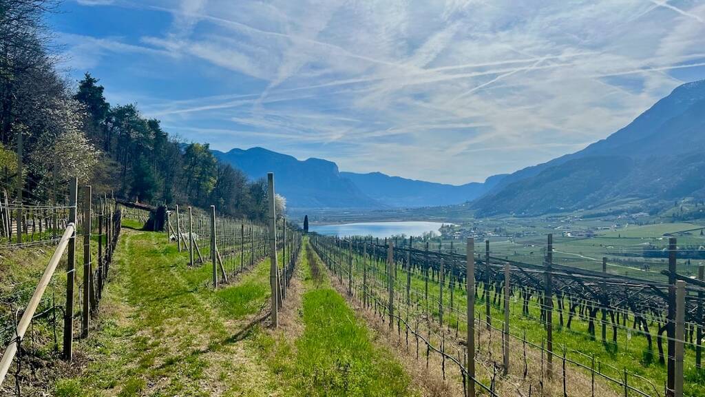 Land-/Forstwirtschaft zum Kauf 358.000 € 3.970 m² Grundstück Kaltern an der Weinstraße. 39052