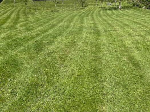 Grundstück zum Kauf 330.000 € 986 m² Grundstück Steyregg 4221