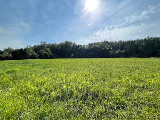 Grundstück zum Kauf 95.000 € 1.036 m² Grundstück Sankt Ruprecht an der Raab 8181