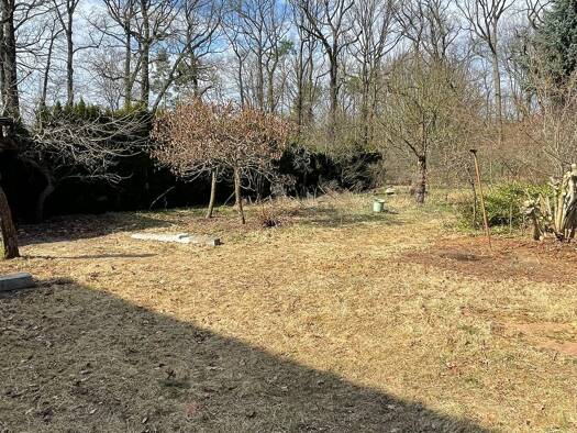 Grundstück zum Kauf provisionsfrei 105.000 € 700 m² Grundstück frei ab sofort Branitz Cottbus 03042