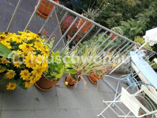 Wohnung zur Miete Tauschwohnung 800 € 3 Zimmer 62 m² 2. Geschoss Braunsfeld Köln 50933