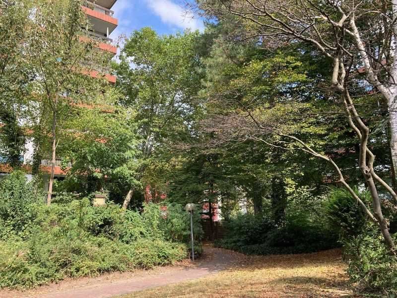 Property thumbnail 12