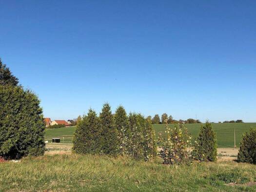 Grundstück zum Kauf provisionsfrei 90.000 € 1.240 m² Grundstück Am Bielebornring 78 Wetteritz Grimma 04668