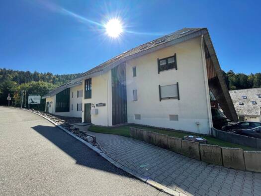 Wohnung zur Miete 769 € 1 Zimmer 43 m² Auf dem Köpfle 1 Vordertodtmoos Todtmoos 79682