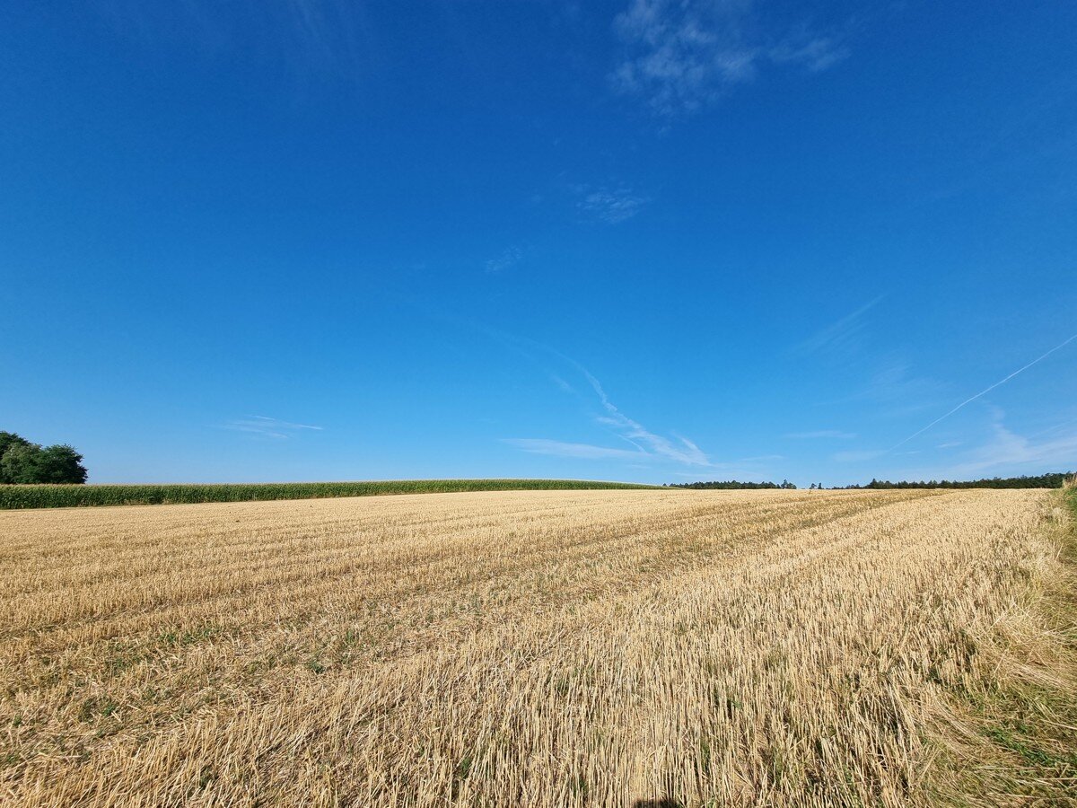 Land-/Forstwirtschaft zum Kauf 350.000 € 38.800 m²<br/>Grundstück Ammersdorf Johanniskirchen / Ammersdorf 84381