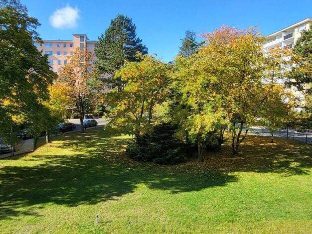 Wohnung zum Kauf provisionsfrei 315.000 € 3 Zimmer 88,2 m² 1. Geschoss frei ab 01.02.2026 Am Forsthaus Gravenbruch 50 Gravenbruch Neu-Isenburg 63263