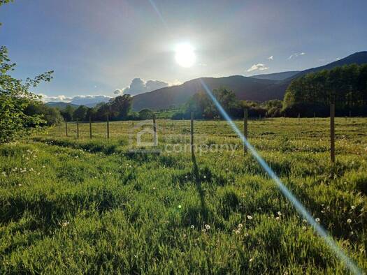 Gartenbau zum Kauf 15.600 € 800 m² Grundstück Willendorf 2732