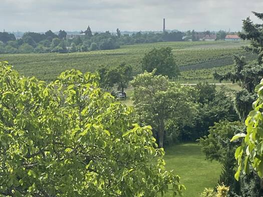 Grundstück zum Kauf 1.150.000 € 2.059 m² Grundstück Sooß 2504