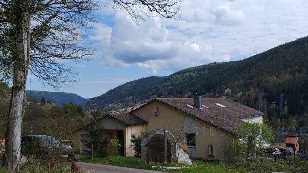 Einfamilienhaus zum Kauf 599.000 € 8 Zimmer 237 m² 5.900 m² Grundstück Bad Wildbad 75323