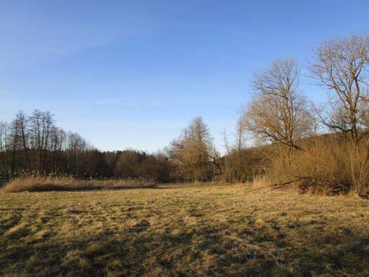 Grundstück zum Kauf Erding Erding 85435