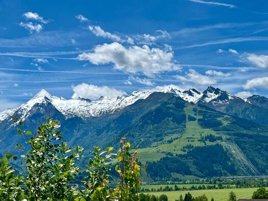 Grundstück zum Kauf 542 m² Grundstück Zell am See 5700