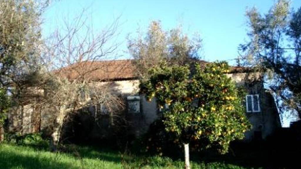 Einfamilienhaus zum Kauf 92.120 € 1 Zimmer 1.930 m² Grundstück Pedrógão Grande 3270-078