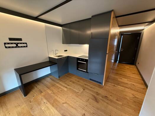 Wohnung zur Miete 490 € 1 Zimmer 30 m² Geschoss 3/3 frei ab sofort Ottmannshofen Leutkirch im Allgäu 88299