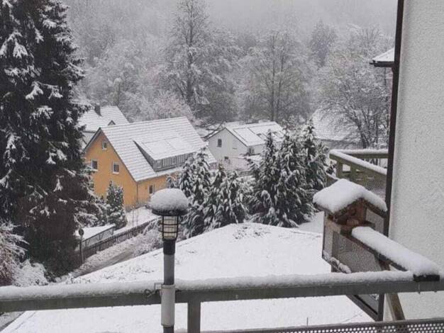 Studio zur Miete 420 € 1 Zimmer 39 m² 1. Geschoss Schönmünzach Baiersbronn 72270