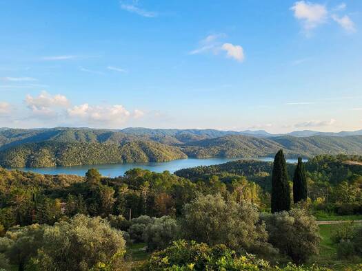 Einfamilienhaus zum Kauf 1.100.000 € 8 Zimmer 268 m² 30.702 m² Grundstück MONTAUROUX 83440