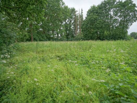 Grundstück zum Kauf 79.950 € 2.200 m² Grundstück Frelsdorf Beverstedt 27616