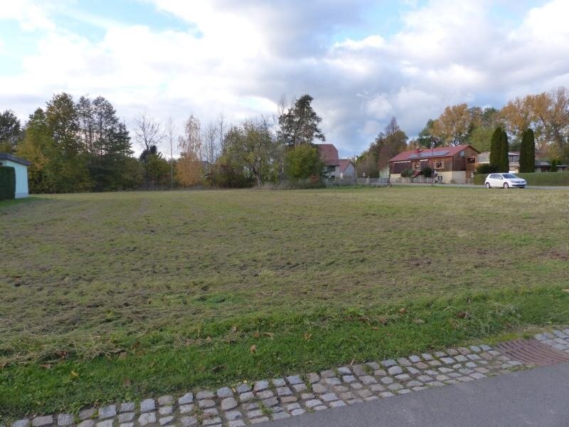 Grundstück zum Kauf 79.000 € 4.170 m²<br/>Grundstück Pulsitz Ostrau OT Pulsitz 04769