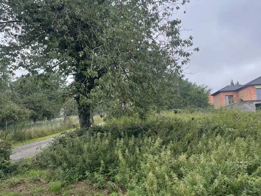 Grundstück zum Kauf provisionsfrei 50.000 € 1.105 m² Grundstück Rue Abbé Roth Nousseviller-Saint-Nabor 57990