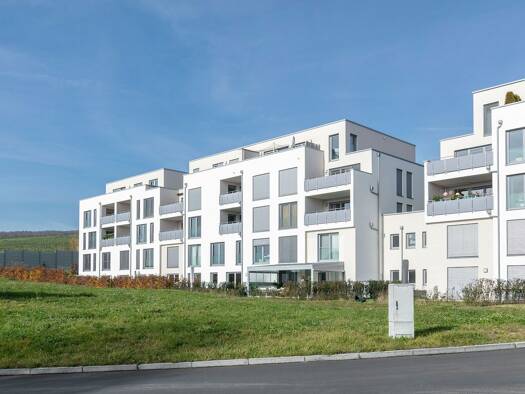 Penthouse zum Kauf 679.000 € 4 Zimmer 99,6 m² EG Grimmelfingen Ulm 89081