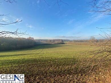 Grundstück zum Kauf provisionsfrei 285.000 € 1.200 m² Grundstück Luschendorf Luschendorf 23689