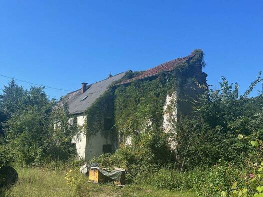 Grundstück zum Kauf 130.000 € 2.500 m² Grundstück Büschfeld Wadern 66687