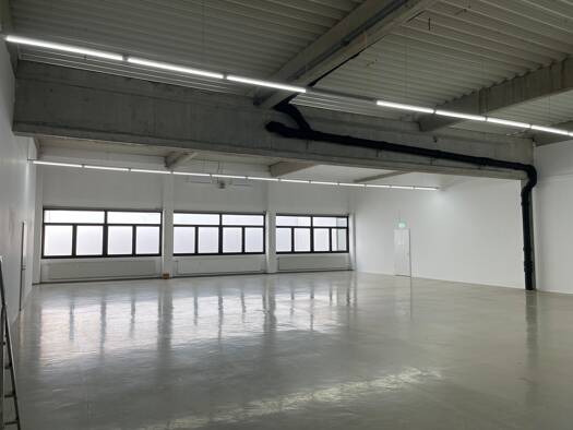 Lagerhalle zur Miete provisionsfrei 2.180 € Kleiner Johannes 21 Pegnitz 91257