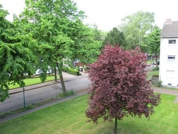 Wohnung zur Miete 384 € 2,5 Zimmer 54,8 m² 2. Geschoss Waterkampstraße 33 Marxloh Duisburg 47169