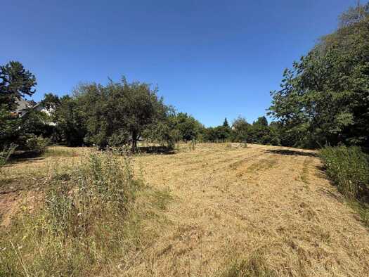 Grundstück zum Kauf provisionsfrei 798.000 € 948 m² Grundstück frei ab sofort Erlenweg 9 Deutenbach Stein 90547