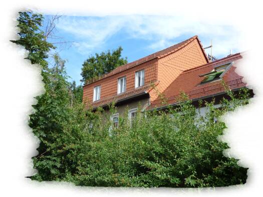 Einfamilienhaus zum Kauf provisionsfrei 49.000 € 7 Zimmer 107 m² frei ab sofort Frauengasse 5 Altenburg Altenburg 04600