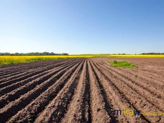 Land-/Forstwirtschaft zum Kauf 14 € 47.000 m² Grundstück Lochen am See 5221