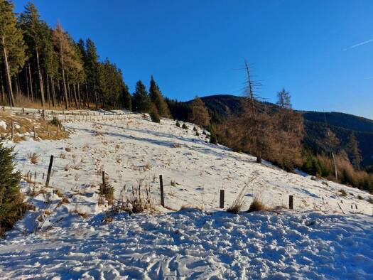 Grundstück zum Kauf 1.599.930 € 47.224 m² Grundstück Wolfsberg 9400