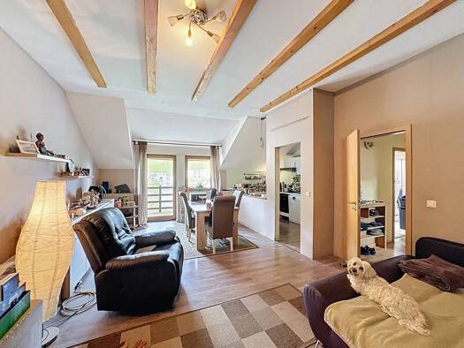 Einfamilienhaus zum Kauf 590.000 € 300 m² 450 m² Grundstück Wellen 54441