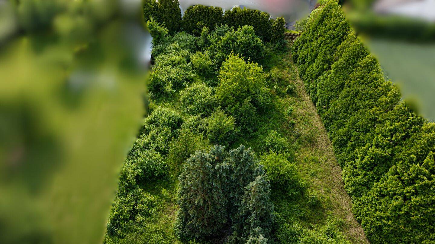 Land-/Forstwirtschaft zum Kauf - Widok 2