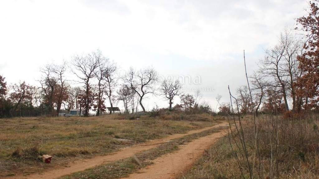 Land-/Forstwirtschaft zum Kauf 16.250 € Vodnjan