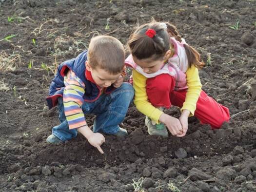 Grundstück zum Kauf 2.000.000 € 47.665 m² Grundstück Antonowo 11-500