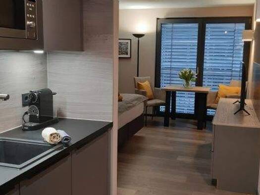 Wohnung zur Miete 859 € 1,5 Zimmer 26 m² 2. Geschoss Friedrich-Tritschler-Straße 2 Kirchheim Kirchheim unter Teck 73230