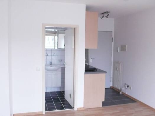 Studio zur Miete 390 € 1 Zimmer 20 m² 3. Geschoss frei ab 01.04.2026 Saalbaustrasse 5 Darmstadt 64283