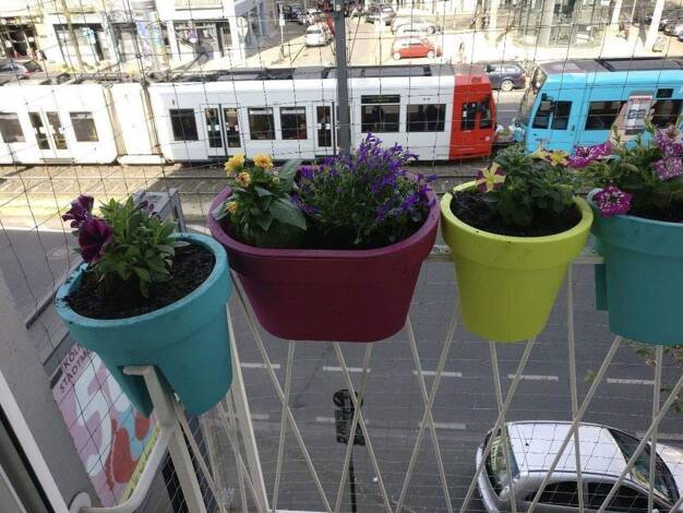 Wohnung zum Kauf provisionsfrei 663.040 € 5 Zimmer 118,4 m² 2. Geschoss Salierring 43 Neustadt-Süd Köln 50677