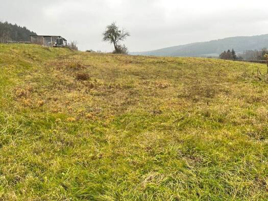 Grundstück zum Kauf 80.000 € 5.616 m² Grundstück Olbendorf 7534