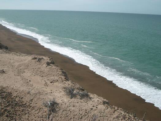 Land-/Forstwirtschaft zum Kauf 1.820.941 € 50.000.000 m² Grundstück Rawson Rawson