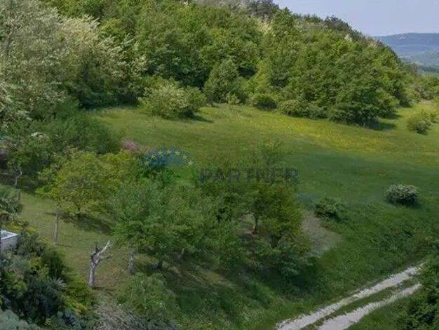 Gewerbegrundstück zum Kauf 185.000 € 4.646 m² Grundstück Motovun 52424