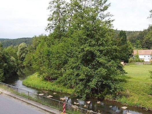 Haus zum Kauf 265.000 € 5,5 Zimmer 2.163 m² Grundstück Traidendorf Kallmünz 93183