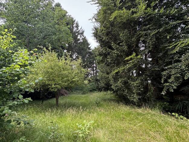 Grundstück zum Kauf 409.000 € 1.000 m² Grundstück Bergstedter Chaussee 101 Bergstedt Wandsbek 22395