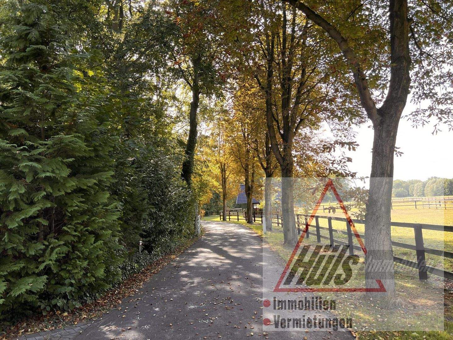 Einfamilienhaus zum Kauf - Ansicht 3